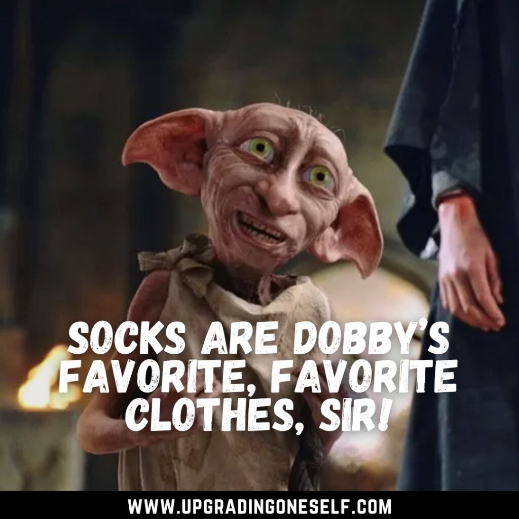 Top Beautiful Quotes From Dobby That Are Heart Touching