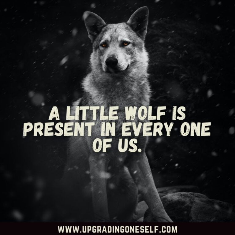 Top 20 Badass Quotes About Wolf To Motivate Your Inner Beast