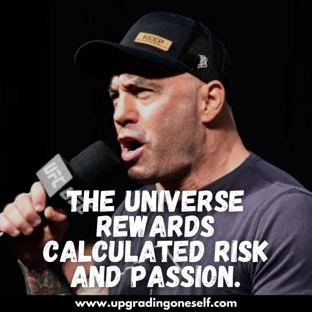 Top 17 Quotes From Joe Rogan With Power-Backed Motivation