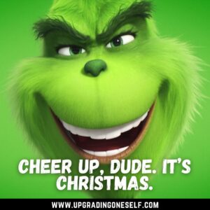 Grinch best quotes