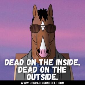 quotes from bojack