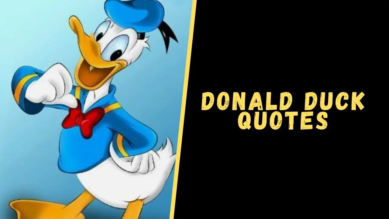 Top 10 Memorable Quotes From The Donald Duck For Motivation