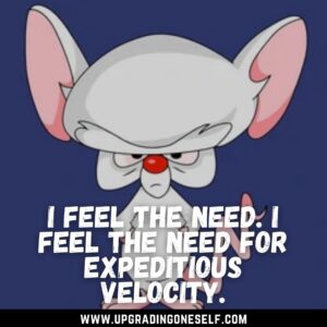 pinky and the brain sayings