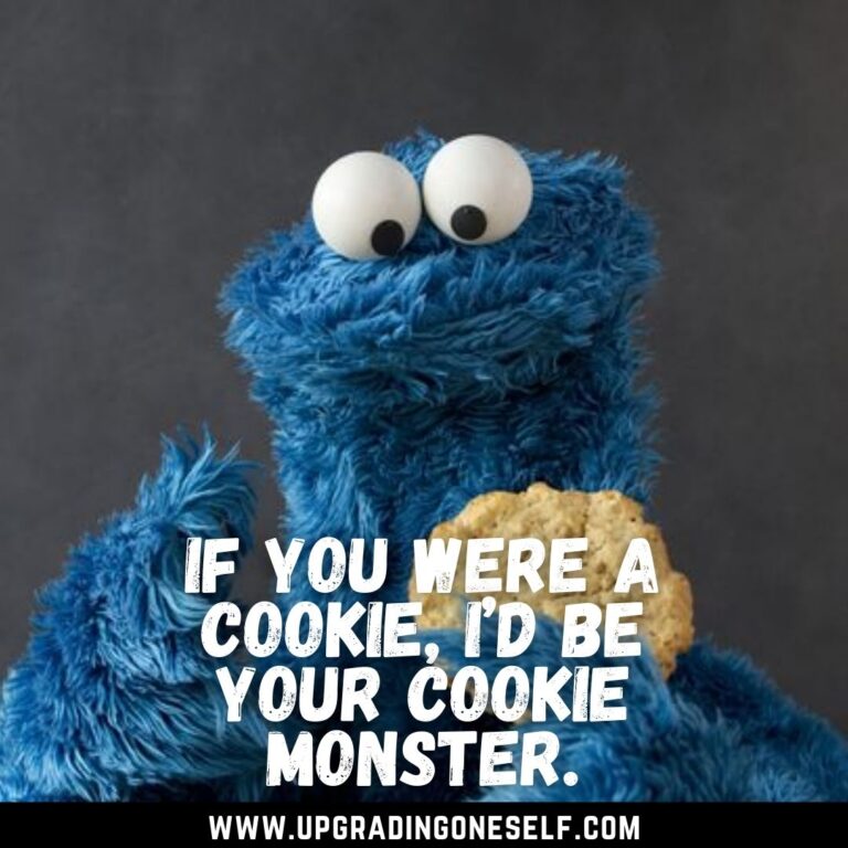 Top 15 Memorable Quotes From Cookie Monster To Laugh Out Loud