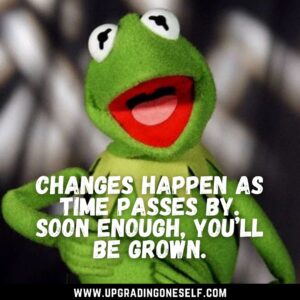 Top 15 Best Inspirational Quotes From Kermit the Frog