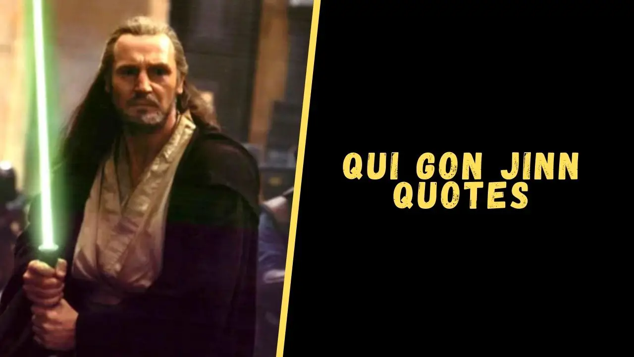 10+ Best 'Qui-Gon Jinn' Quotes, Scattered Quotes in 2023