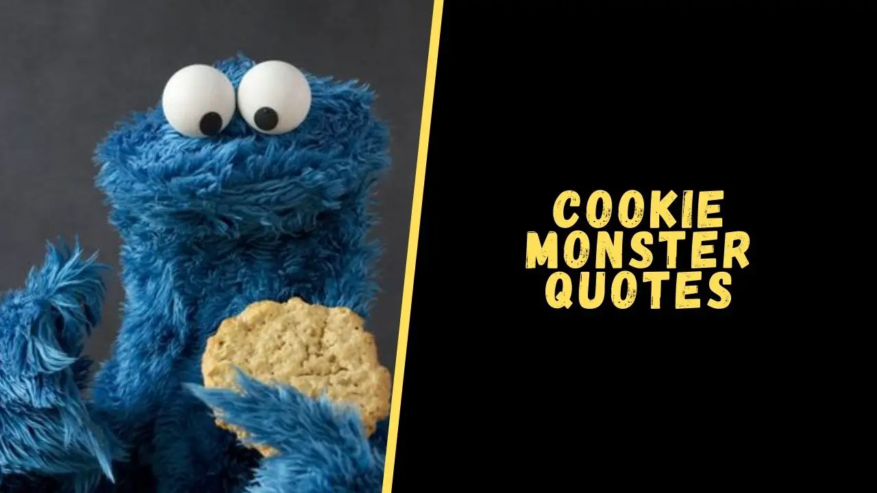 Top 15 Memorable Quotes From Cookie Monster To Laugh Out Loud