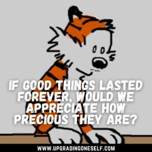 Calvin and Hobbes sayings