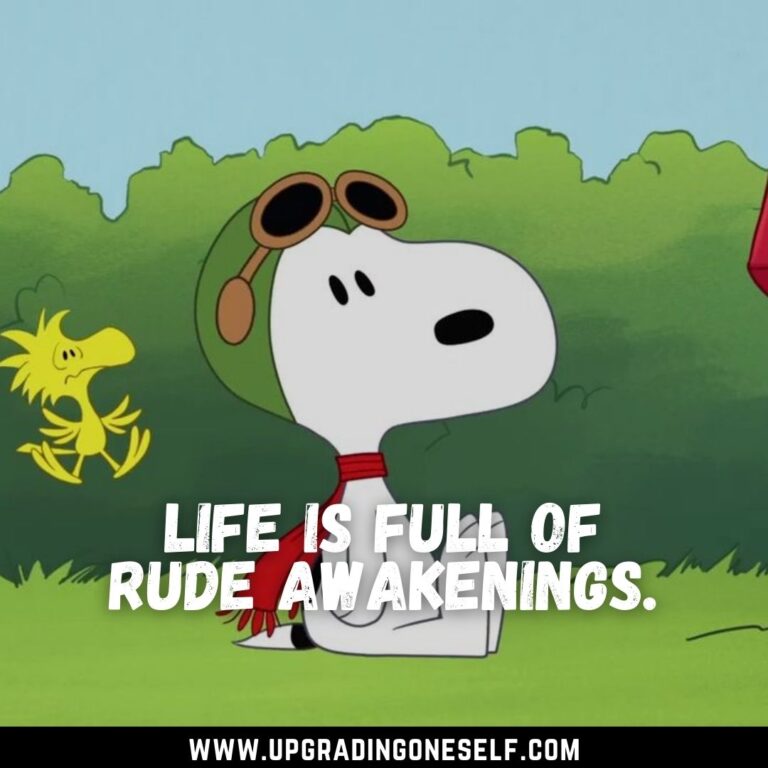 Top 15 Motivational Quotes From Snoopy To Make Your Day