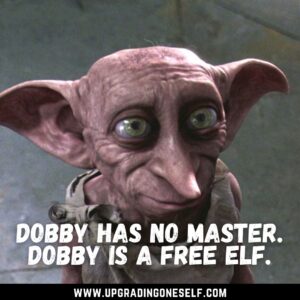 Dobby dialogues