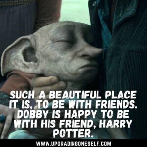 quotes from Dobby