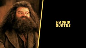 Hagrid quotes
