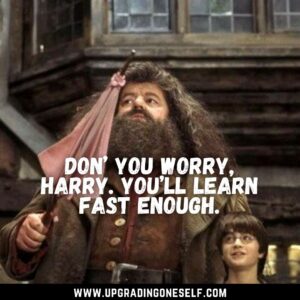 Hagrid captions