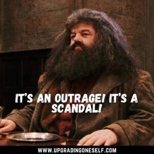 quotes from Hagrid