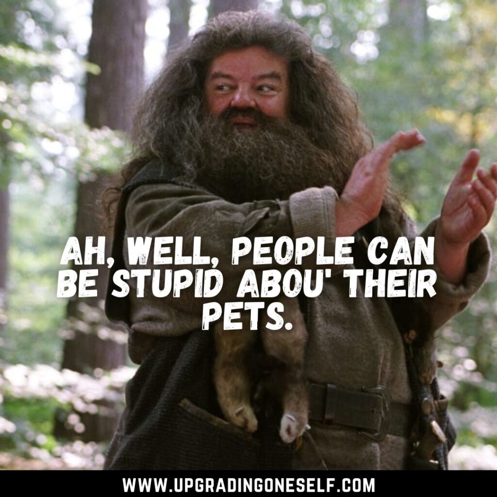 Top 15 Epic Quotes From Hagrid That Will Blow Your Mind