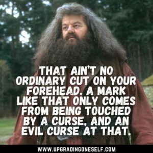 Hagrid lines