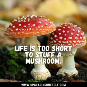 quotes about mushroom 