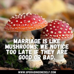 mushroom quote