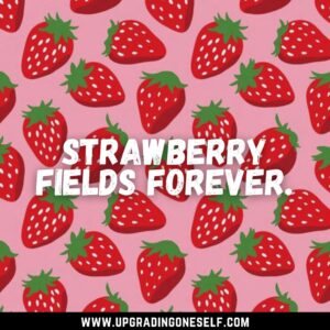 strawberry sayings