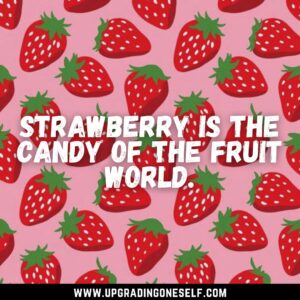 quotes about strawberries