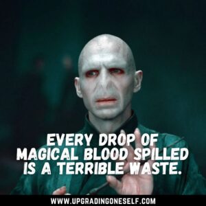 Voldemort sayings