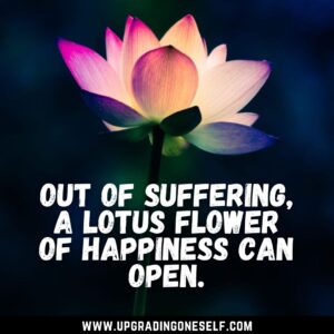 lotus quote