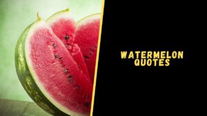 watermelon quotes