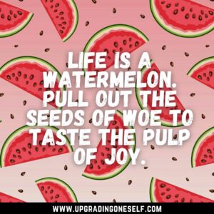 watermelon captions 
