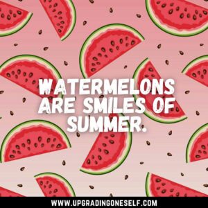 quotes about watermelon