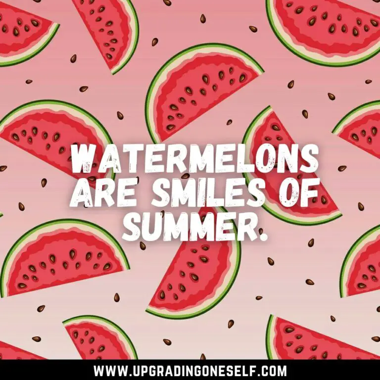 Top 15 Refreshing Quotes About Watermelon To Cheer You Up