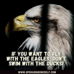 Eagle quote