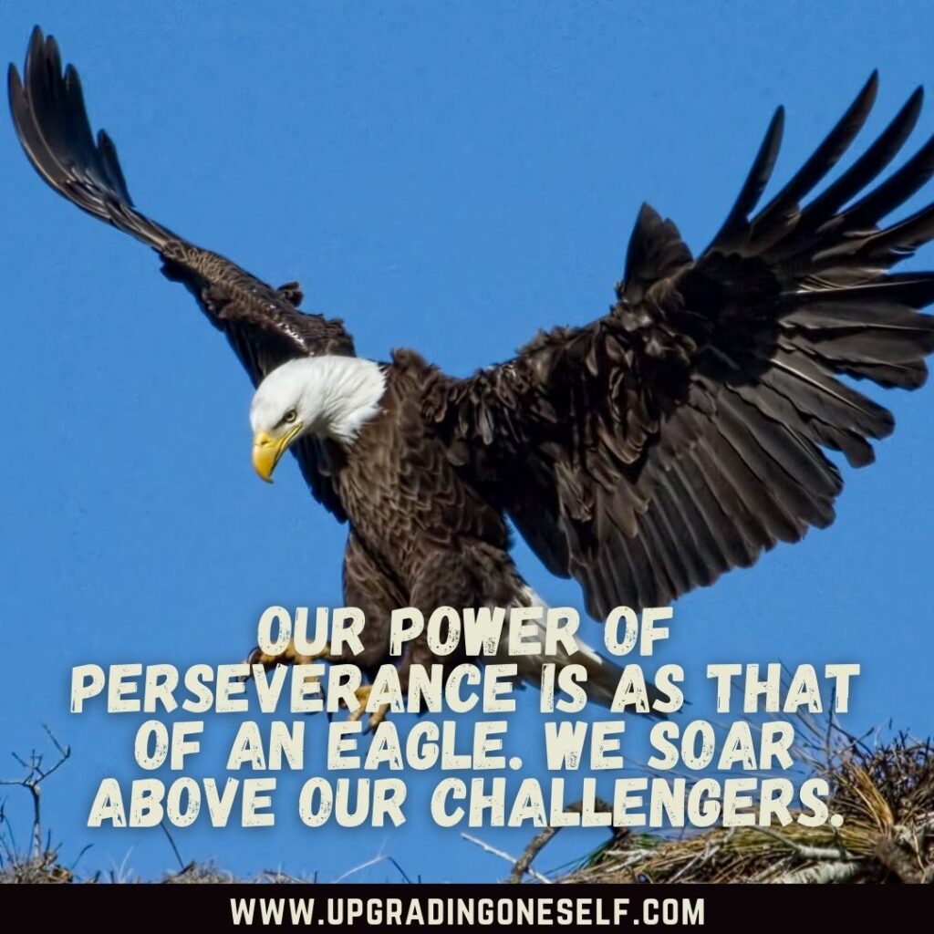 Top 20 Fascinating Quotes About Eagle To Change Your Mindset