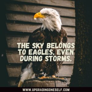 Eagle inspiring quotes
