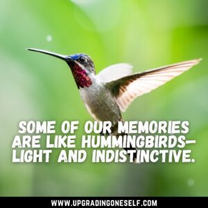 Hummingbird sayings