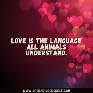 Love Language captions