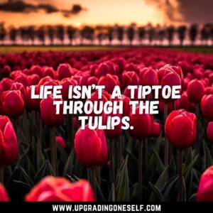 quotes about tulip