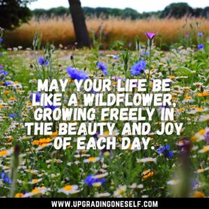Wildflower sayings