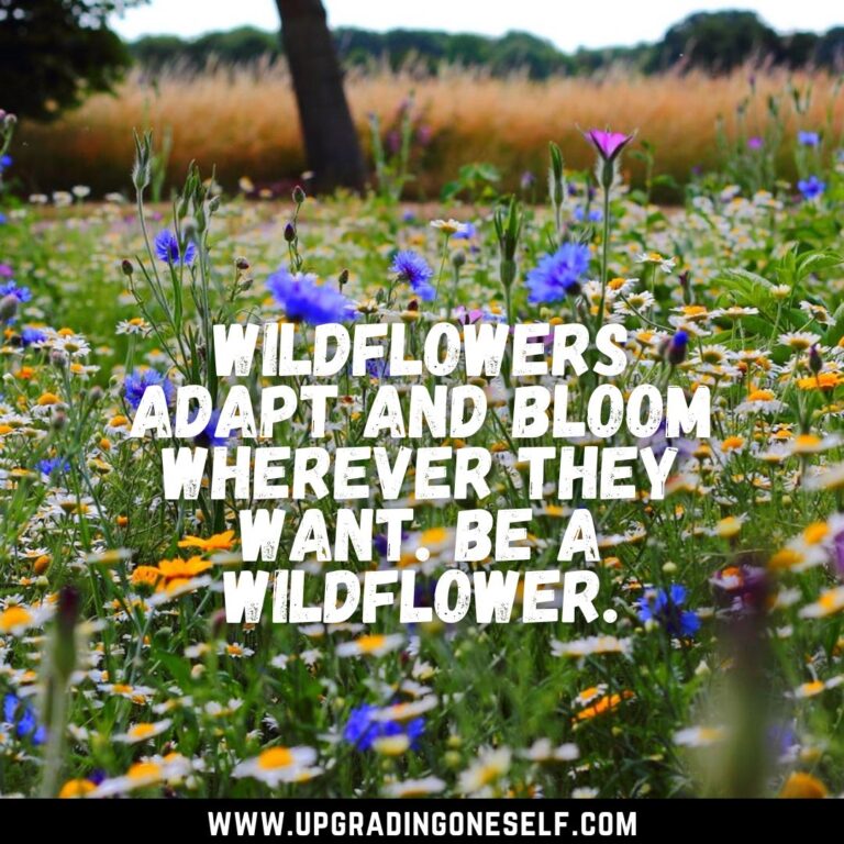 Top 15 Beautiful Quotes About Wildflower To Blow Your Mind