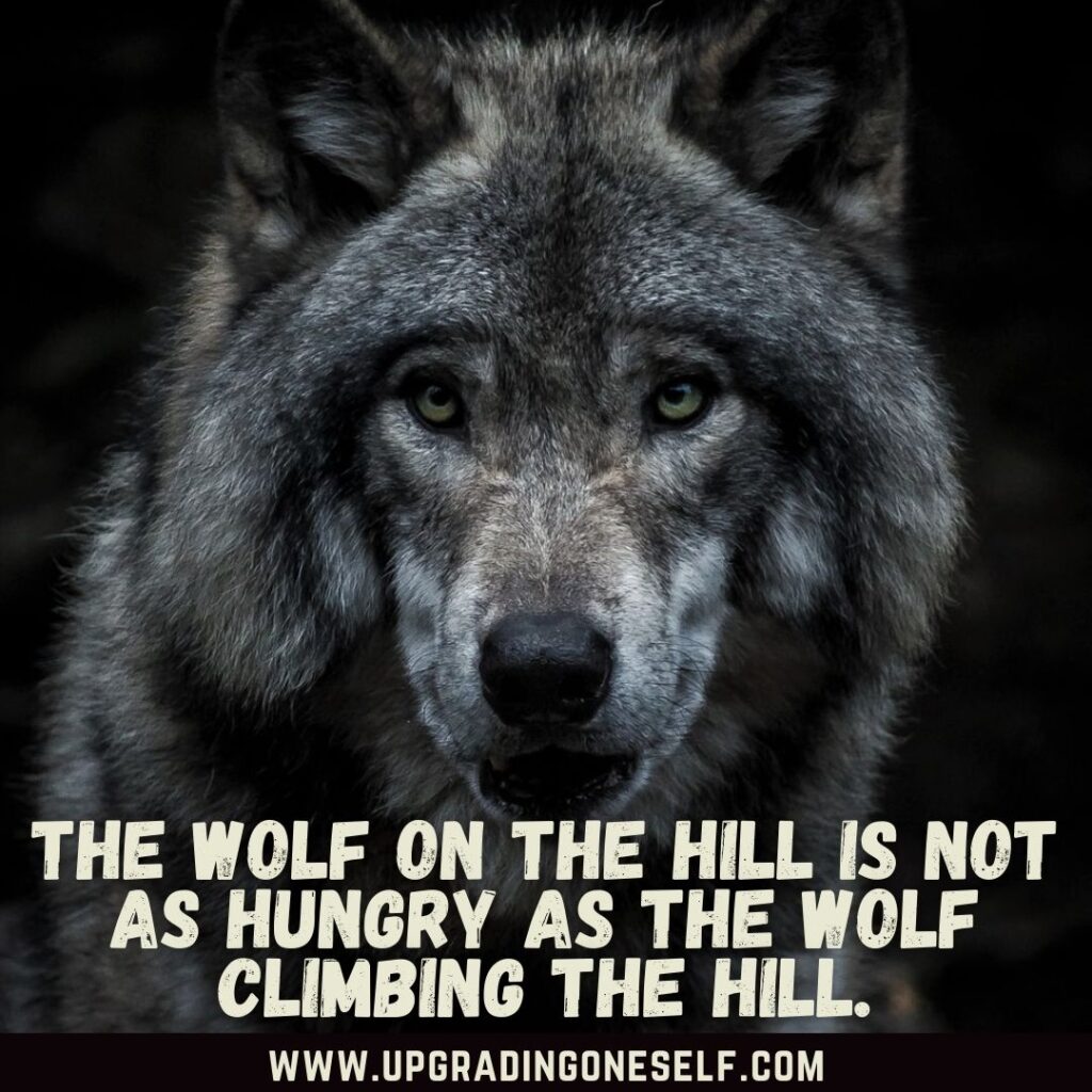 Top 20 Badass Quotes About Wolf To Motivate Your Inner Beast