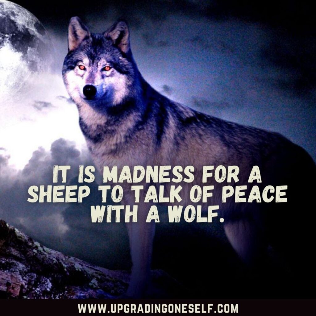 Top 20 Badass Quotes About Wolf To Motivate Your Inner Beast