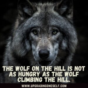 warrior wolf quotes	
