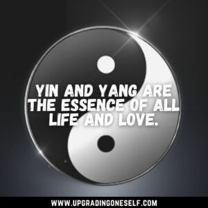 Yin Yang captions