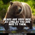 Top 12 Adorable Quotes About Bear To Blow Your Mind