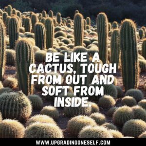 quotes about cactus