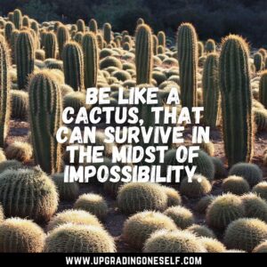 cactus sayings