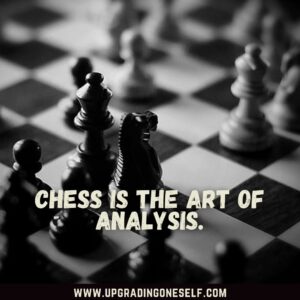 chess sayings