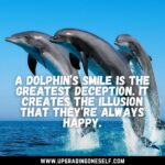 Top 15 Joyful Quotes About Dolphin That Will Make You Cheerful