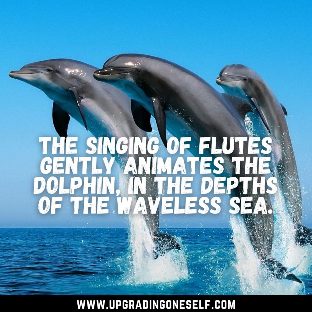 Top 15 Joyful Quotes About Dolphin That Will Make You Cheerful