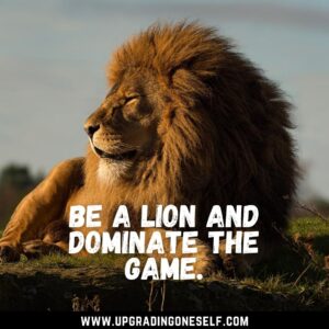 warrior lion quotes 
