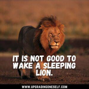 lion sayings